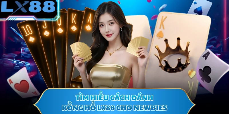 Tìm hiểu cách đánh rồng hổ LX88 cho newbies